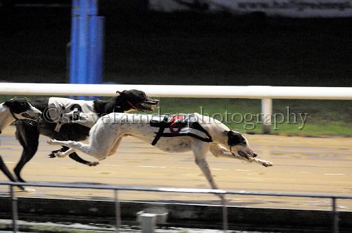 284hallgreen025.JPG - (C)S.FARNDON
