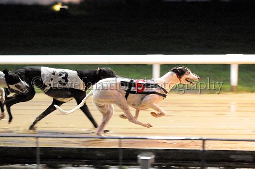 284hallgreen026.JPG - (C)S.FARNDON
