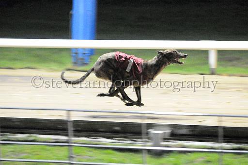 284hallgreen027.JPG - (C)S.FARNDON