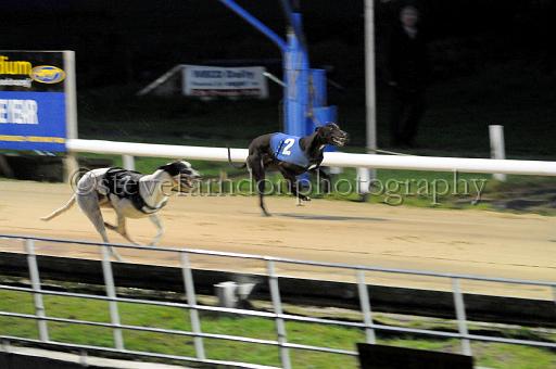284hallgreen035.JPG - (C)S.FARNDON