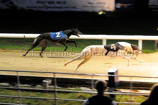 284hallgreen037.JPG - (C)S.FARNDON