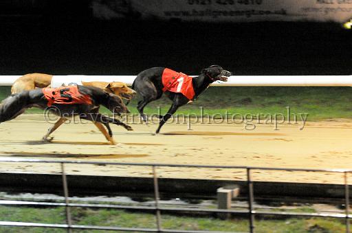 284hallgreen049.JPG - (C)S.FARNDON