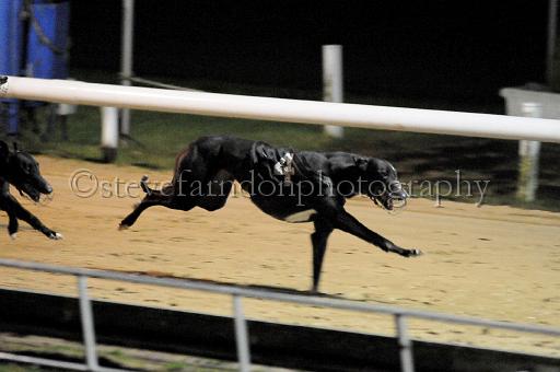 284hallgreen052.JPG - (C)S.FARNDON