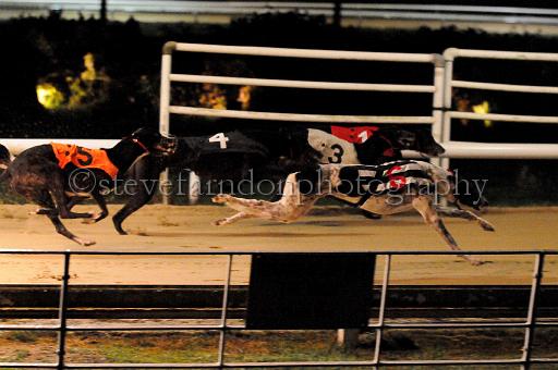 284hallgreen056.JPG - (C)S.FARNDON