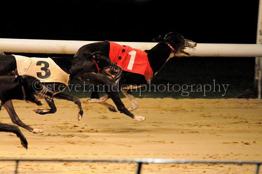284hallgreen061.JPG - (C)S.FARNDON