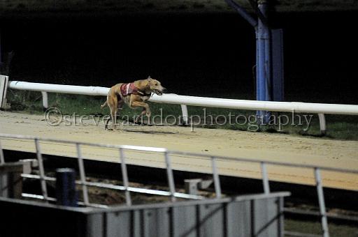 284hallgreen062.JPG - (C)S.FARNDON