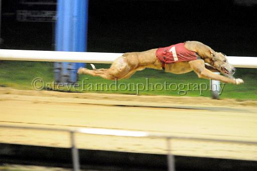 284hallgreen067.JPG - (C)S.FARNDON