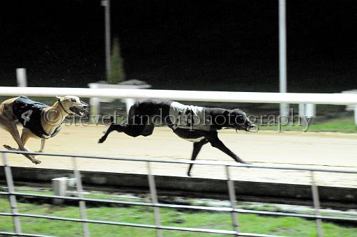 284hallgreen070.JPG - (C)S.FARNDON