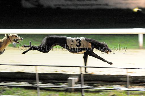 284hallgreen072.JPG - (C)S.FARNDON