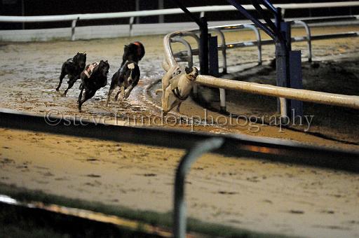 284hallgreen074.JPG - (C)S.FARNDON