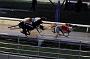 284hallgreen021