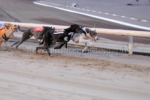 peterboro_003.JPG - (C)S.FARNDON