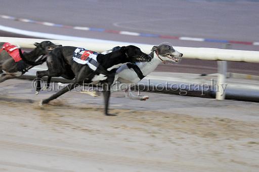 peterboro_004.JPG - (C)S.FARNDON