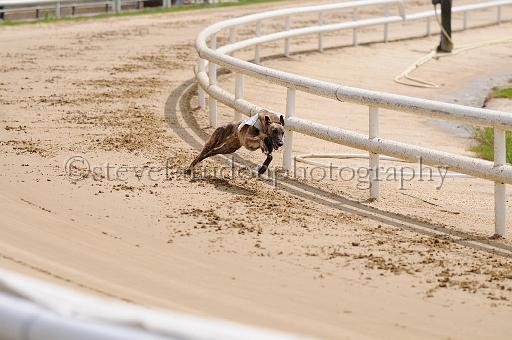peterboro_015.JPG - (C)S.FARNDON
