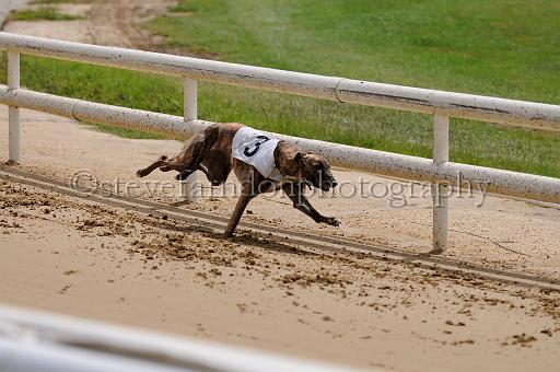 peterboro_017.JPG - (C)S.FARNDON