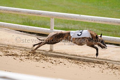 peterboro_018.JPG - (C)S.FARNDON
