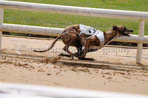 peterboro_019.JPG - (C)S.FARNDON