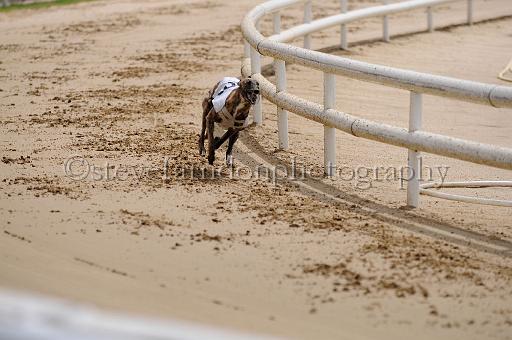 peterboro_020.JPG - (C)S.FARNDON