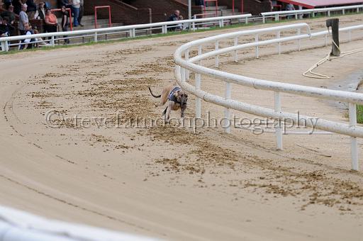 peterboro_022.JPG - (C)S.FARNDON
