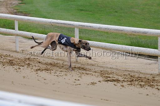 peterboro_023.JPG - (C)S.FARNDON
