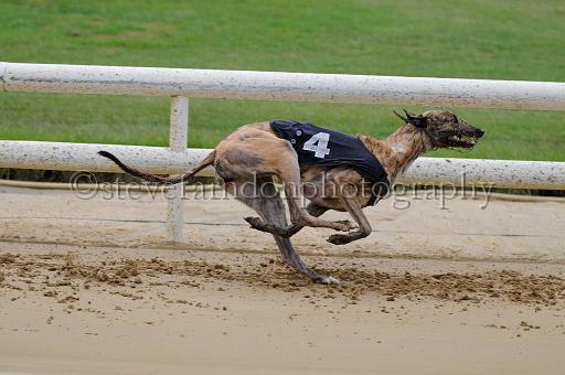 peterboro_024.JPG - (C)S.FARNDON