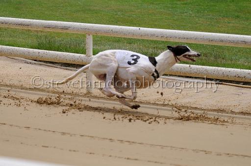 peterboro_098.JPG - (C)S.FARNDON