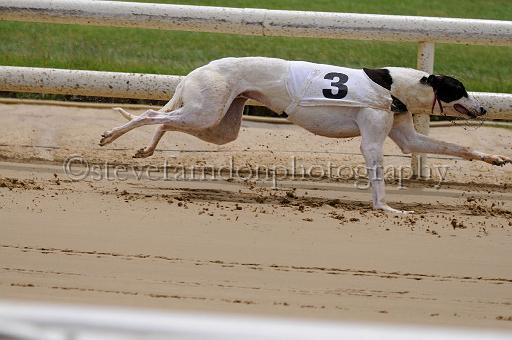 peterboro_099.JPG - (C)S.FARNDON