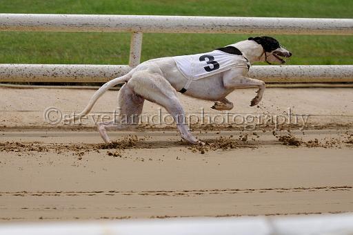 peterboro_100.JPG - (C)S.FARNDON