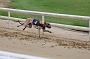 peterboro_023