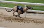 peterboro_026