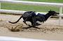 peterboro_029
