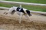 peterboro_057