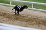 peterboro_072