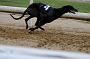peterboro_074