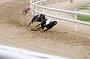 peterboro_076