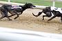 peterboro_079