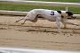 peterboro_099