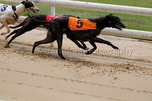 peterboro_103.JPG - (C)S.FARNDON