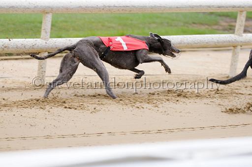 peterboro_107.JPG - (C)S.FARNDON