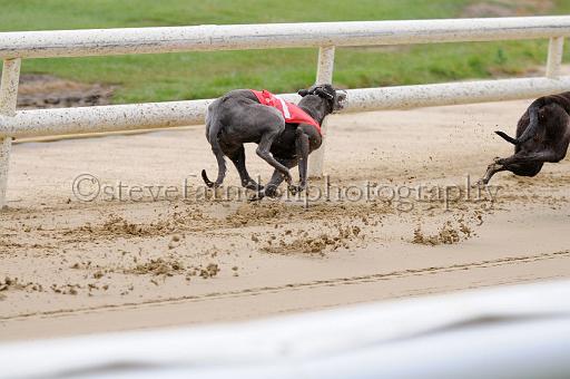 peterboro_108.JPG - (C)S.FARNDON