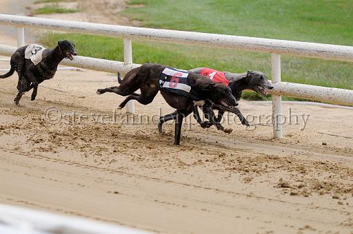 peterboro_110.JPG - (C)S.FARNDON