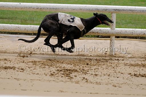 peterboro_111.JPG - (C)S.FARNDON