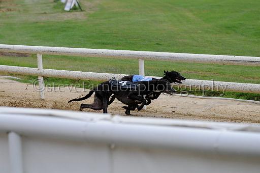 peterboro_112.JPG - (C)S.FARNDON