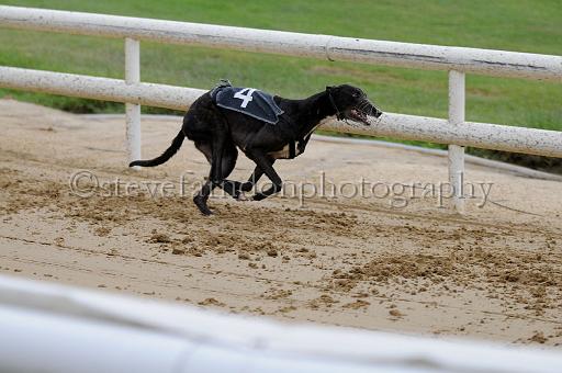 peterboro_119.JPG - (C)S.FARNDON