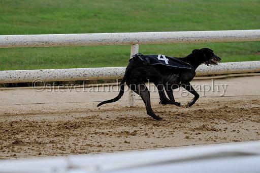 peterboro_121.JPG - (C)S.FARNDON