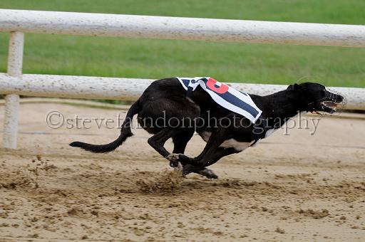 peterboro_125.JPG - (C)S.FARNDON