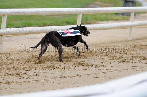 peterboro_126.JPG - (C)S.FARNDON