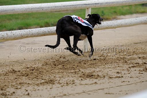 peterboro_128.JPG - (C)S.FARNDON