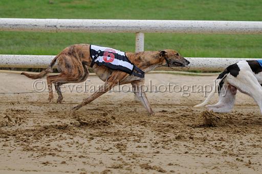 peterboro_131.JPG - (C)S.FARNDON
