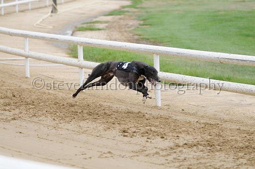 peterboro_133.JPG - (C)S.FARNDON